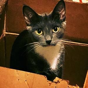 Meet your Posher, Katie